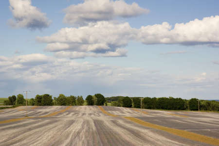 Fleece material warming crops in a Scottish field in summer.の写真素材