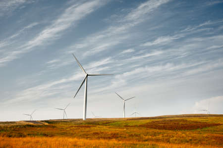 Wind turbines in a heather fieldの写真素材