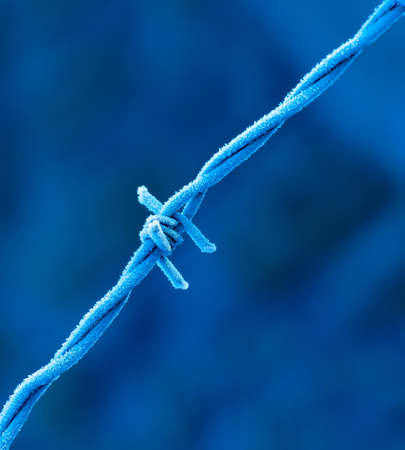 Close-up of frost-covered barbed wire with tungsten (blue) colour balance.の写真素材