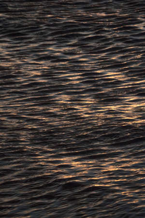 Beautiful sunset on the sea. Water surface close-up.の写真素材