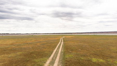 Aerial view of a dirt road in the steppe. Road through the steppe.