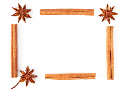 frame of truestar anisetree and cinnamon isolated on white backgroundの写真素材