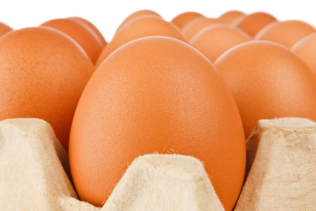 egg in the paper package on white background