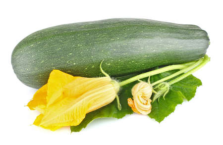 fresh zucchini with green leaves and flower isolated on white backgroundの写真素材