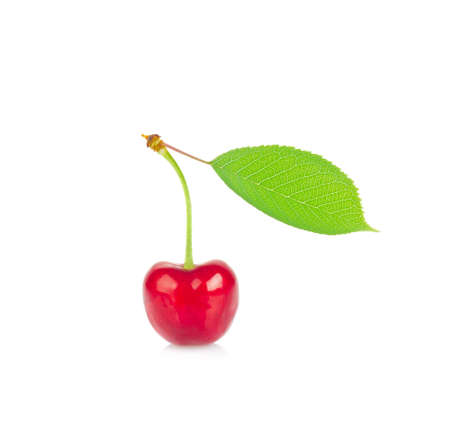 Ripe juicy cherry with green leaf. Isolated on white backgroundの写真素材