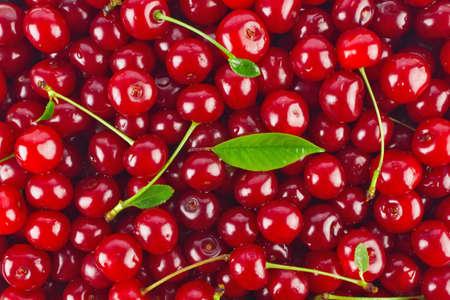 Background of ripe juicy cherries with green leaves.の写真素材