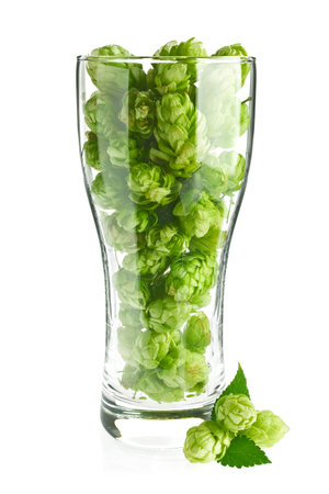 Beer goblet with aromatic hop and green leaves, isolated on white background.