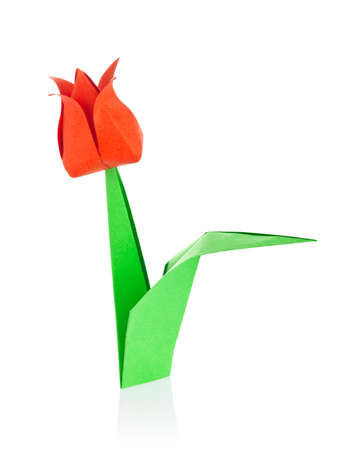 Red tulip of origami, isolated on white background.の写真素材