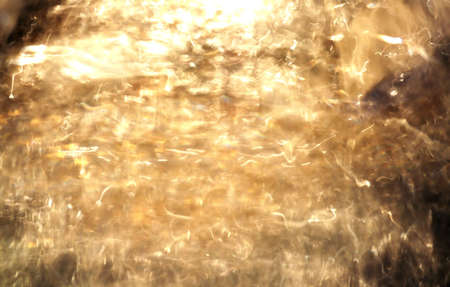 portrait of abstract golden backgroundの写真素材