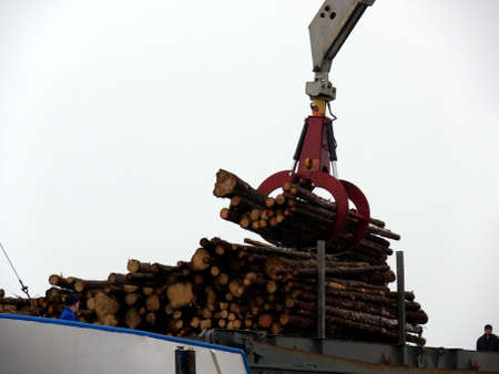 portrait of crane loading timber on boatの写真素材
