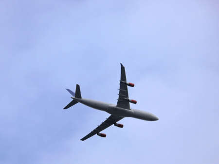 portrait of airplane skyliner seen from groundの写真素材