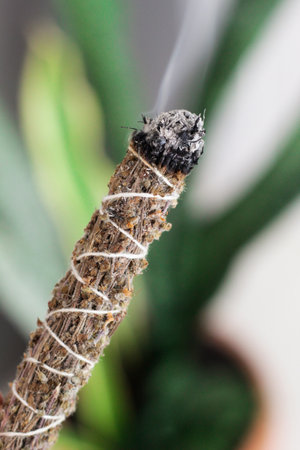 A close up image of a burning incense stick and smoke from incense burning. Beautiful smoke. Stick used for energy clearing and healing.の写真素材