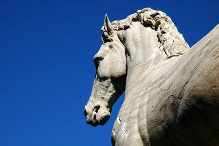 Marble horse at Capitol hill in Romeの写真素材