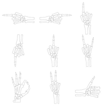 Set of night skeleton handsのイラスト素材