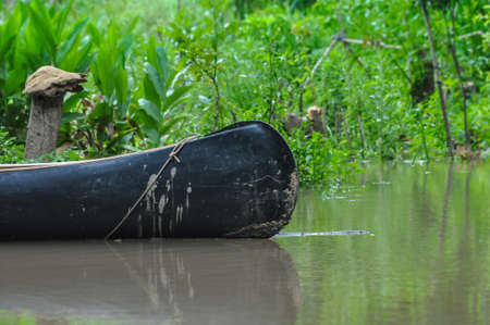 Canoe in an argentinian river delta with amazing greenery of the river shoreの写真素材