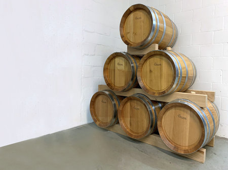 3 oak barrels (below) and 3 robinia wood barrels (above) in the cellar
