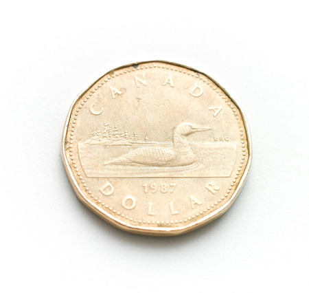 one canadian dollar isolated on a white backgroundの写真素材