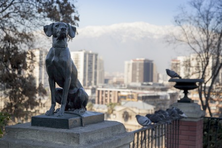 Dog statue with city in the background, Santiago, Chile 2011-06-23 2:32:21 PMのeditorial素材