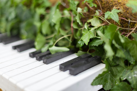 Allan gardens conservatory Christmas piano by garden muses, Toronto, Ontario, Canadaの写真素材