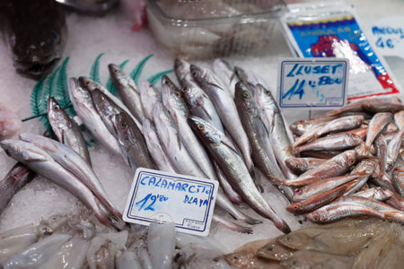Varity of frozen fish at a market stall, La Boqueria Market, Barcelona, Catalonia, Spainの写真素材