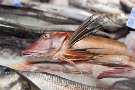 Heap of frozen fish for sale at a market stall, La Boqueria Market, Barcelona, Catalonia, Spain