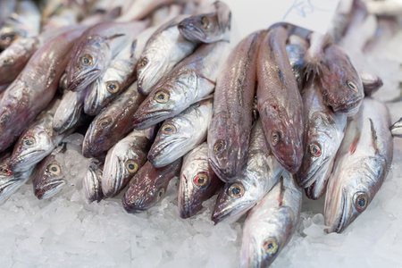 Display frozen horse mackerels for sale at a market, La Boqueria Market, Barcelona, Catalonia, Spainの写真素材