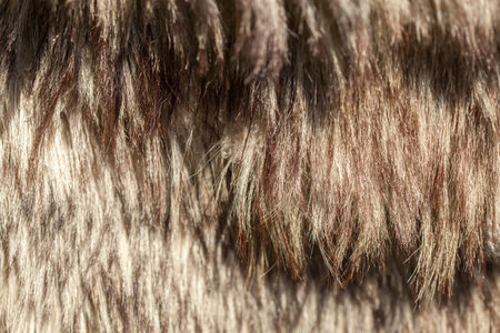 Full frame shot of animal hair for sale at flea market