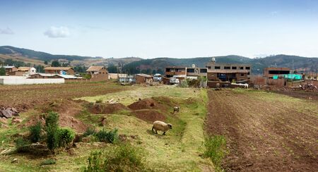 Animal, Animal Themes, Architecture, Built Structure, Colour Image, Cusco City, Day, Domestic Animals, Farm, Field, Herbivorous, Hill, Horizontal, House, Landscape, Livestock, Mountain, Mountain Range, No People, Outdoors, Peru, Peruvian Culture, Photograの写真素材
