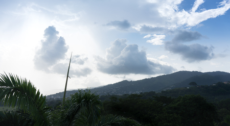Beauty In Nature, City, Cloud - Sky, Colour Image, Day, Distant, Environment, Forest, Green, Horizontal, Landscape, Mountain, Mountain Range, Nature, No People, Outdoors, Palm Tree, Photography, Plant, Scenics, Sky, Tranquil Scene, Tranquillity, Travel, Tの写真素材