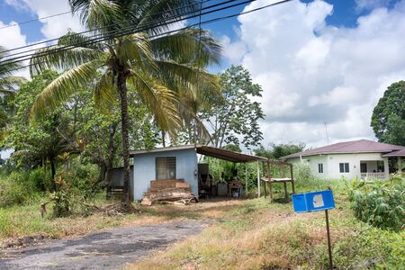Architecture, Building Exterior, Built Structure, Cloud - Sky, Colour Image, Day, Footpath, Grass, Horizontal, House, No People, Old, Outdoors, Palm Tree, Photography, Power Cable, Power Line, Residential Structure, Shed, Sky, Tree, Trinidad - Trinidad Anの写真素材