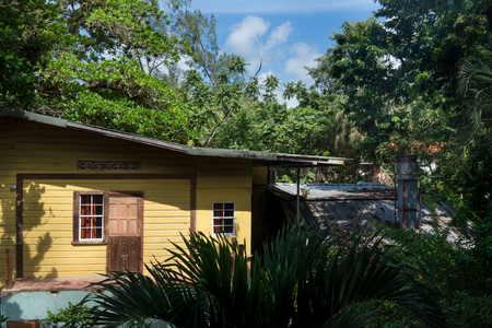Colour Image, Day, Horizontal, Island, Nature, No People, Outdoors, Photography, Tourism, Tranquil Scene, Tranquillity, Travel, Travel Destinations, Tree, Trinidad And Tobago, Trinidad - Trinidad And Tobago, Vacations, Built Structure, Building Exterior, の写真素材