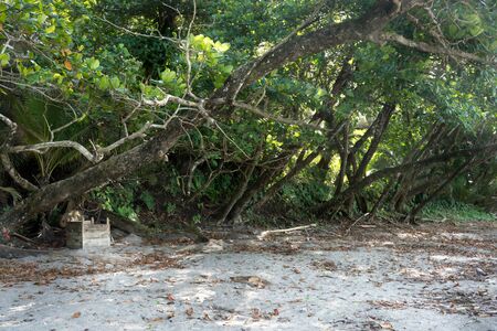 Beach, Colour Image, Day, Growth, Horizontal, Island, Nature, No People, Non-urban Scene, Outdoors, Photography, Scenics, Tourism, Tranquil Scene, Tranquillity, Travel, Travel Destinations, Tree, Trinidad And Tobago, Trinidad - Trinidad And Tobago, Vacatiの写真素材