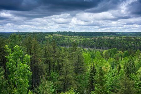 contryside ontario canada nature aerial view of the forestの写真素材