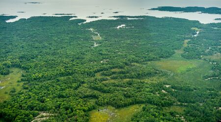 High angle view of wetlands at day, Toronto, Ontario, Canada. aerial picture from ontario canada 2016の写真素材