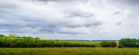 Panoramic shot of green field with bushes against cloudy sky, Belgium. belgium europe