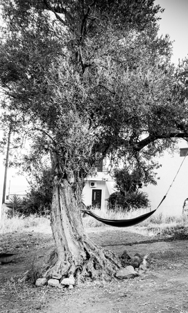 Residential house with hammock in garden; Crete; Greeceの写真素材