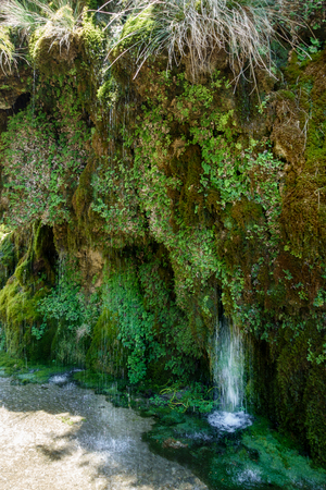 Beautiful waterfall in rainforest; Crete; Greeceの写真素材