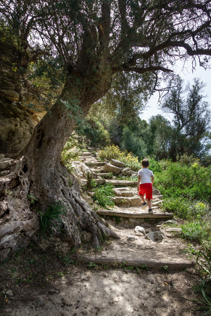 Boy climbing steps amidst lush foliage Crete Greece Europeの写真素材