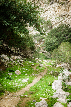 View of landscape and hill Crete Greeceの写真素材