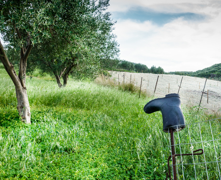 Boot on wooden post amidst green field Crete Greece Europeの写真素材