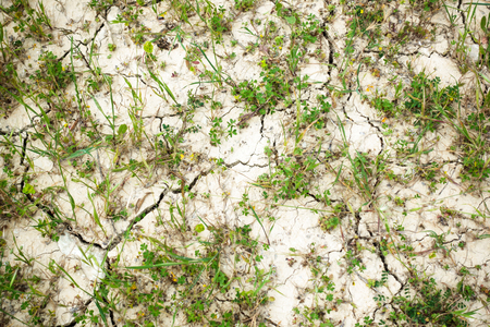 Top view of crops on cracked land Crete Greece Europeの写真素材
