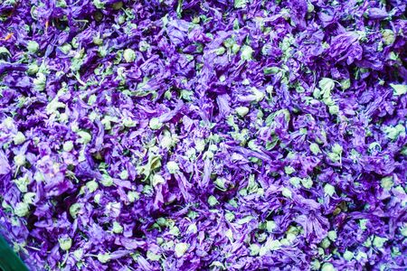 Fresh flowers for sale at market, Turkey, Istanbulの写真素材