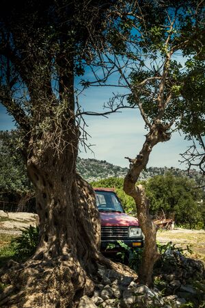 Pick-up truck by tree in forest, Crete, Greeceの写真素材