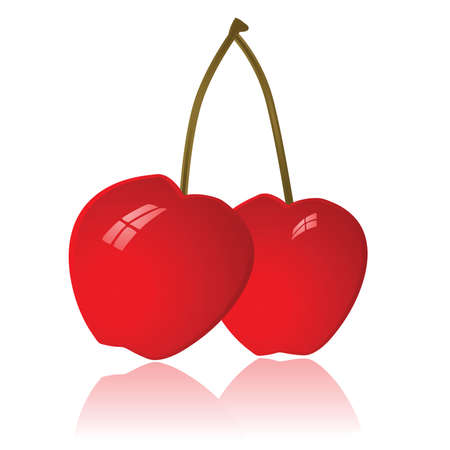 Glossy illustration of two cherriesのイラスト素材