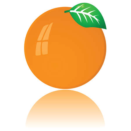 Glossy illustration of a ripe orangeのイラスト素材