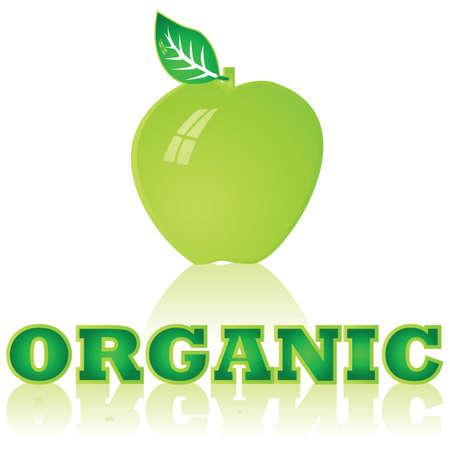 Glossy illustration of a green apple with the word Organic under itのイラスト素材