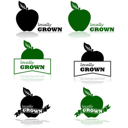 Concept illustration showing an apple and the words Locally Grown のイラスト素材