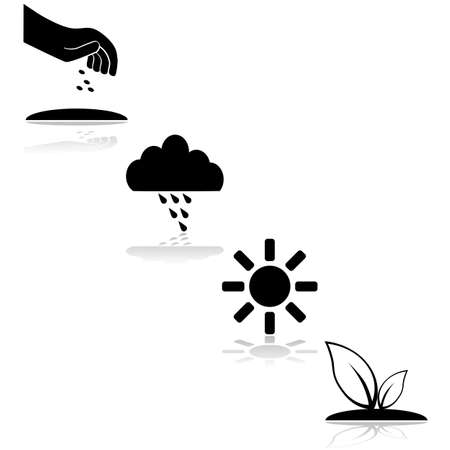 Icon set showing the steps needed for a plant to grow, with seeding, rain and sunshineのイラスト素材