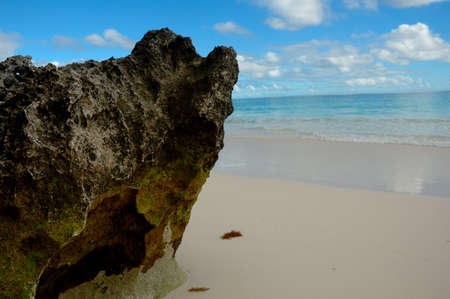 Rock on Bermuda Beackの写真素材