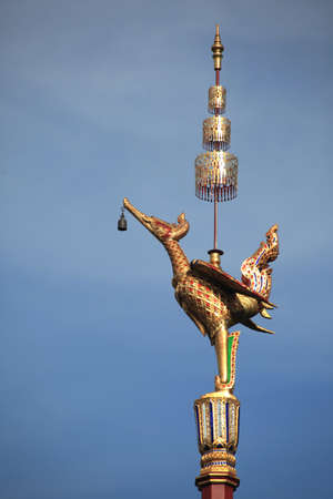 Swan on the pole の写真素材